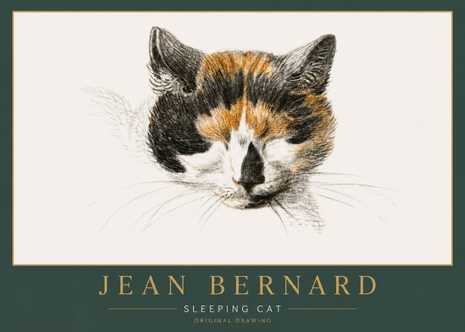 Jean Bernard Cat Study VIII No6 - Plakat