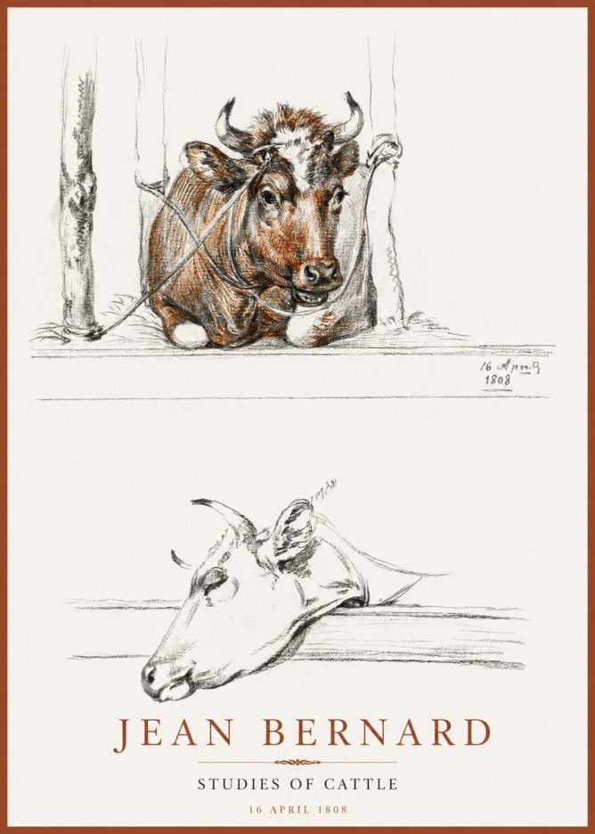 Jean Bernard Studies of Cattle III No2 - Plakat