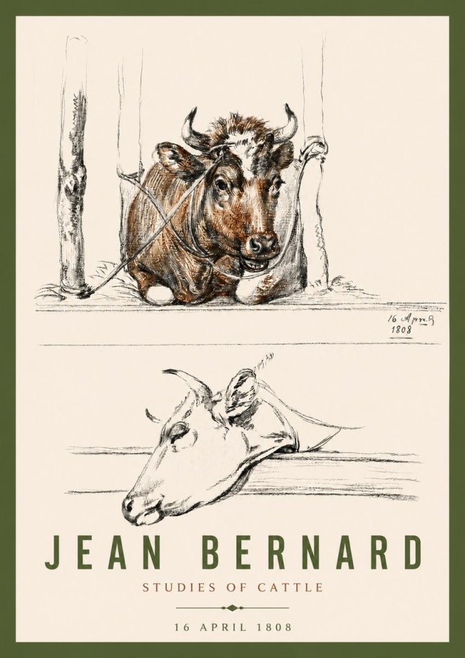 Jean Bernard Studies of Cattle III No4 - Plakat