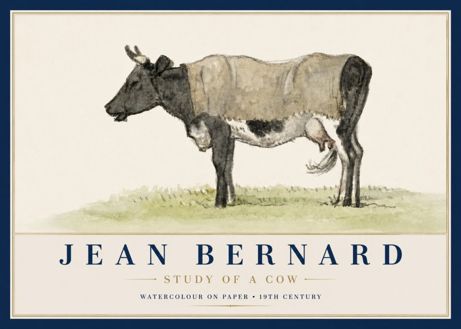 Jean Bernard Study of a Cow IX No4 - Plakat
