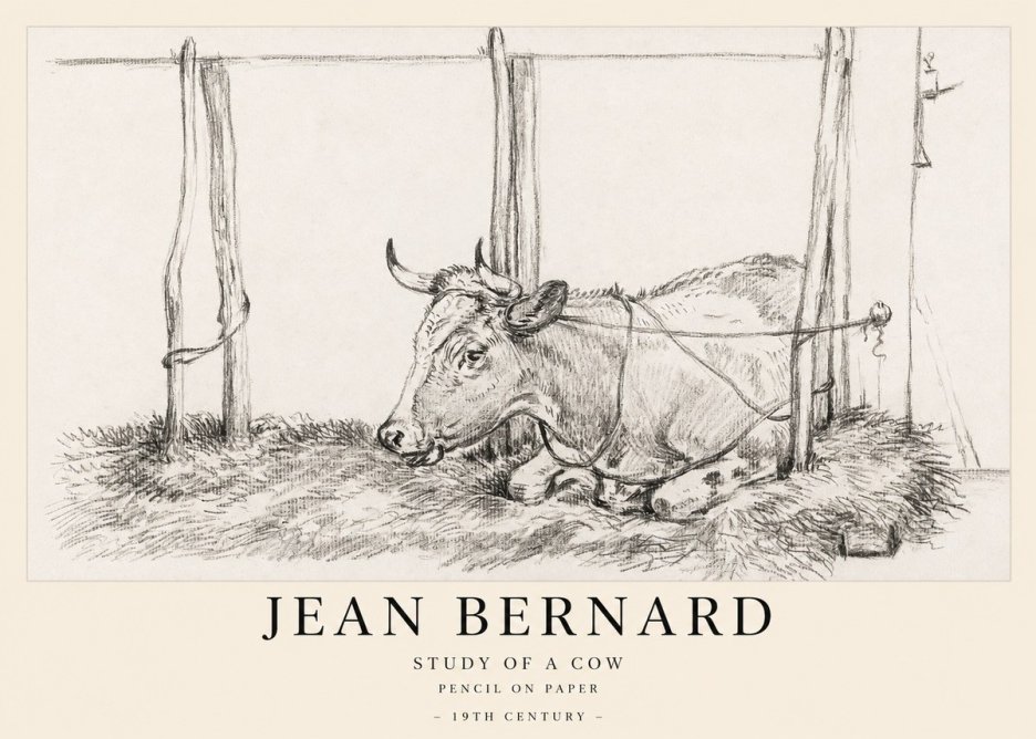 Jean Bernard A Resting Cow No2 - Plakat