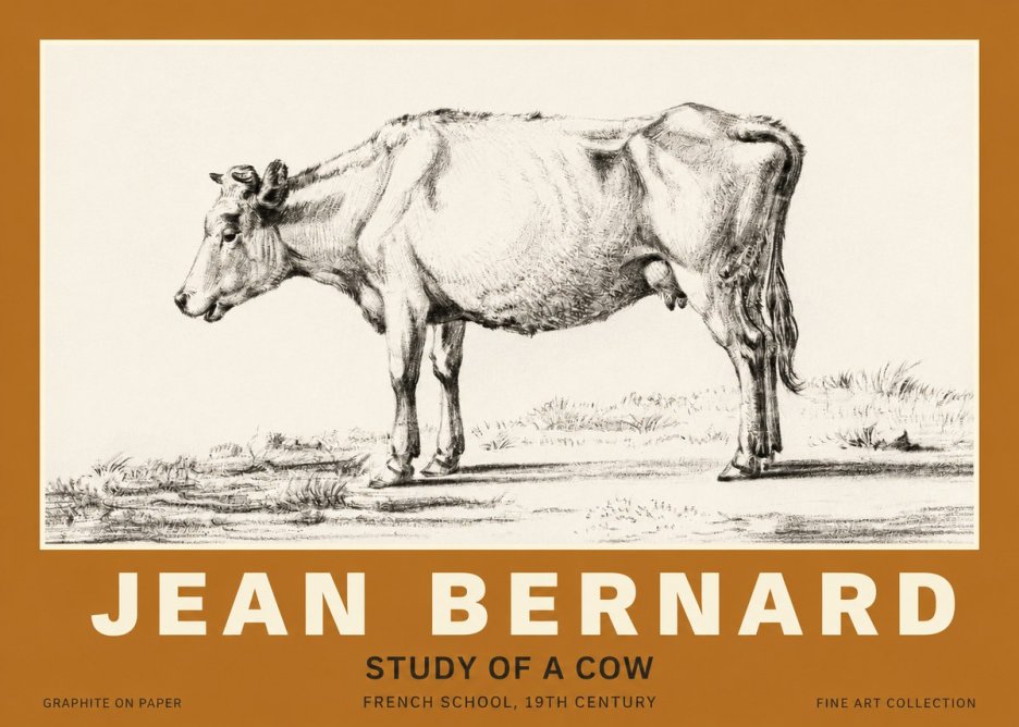 Jean Bernard Study of a Cow XI No3 - Plakat
