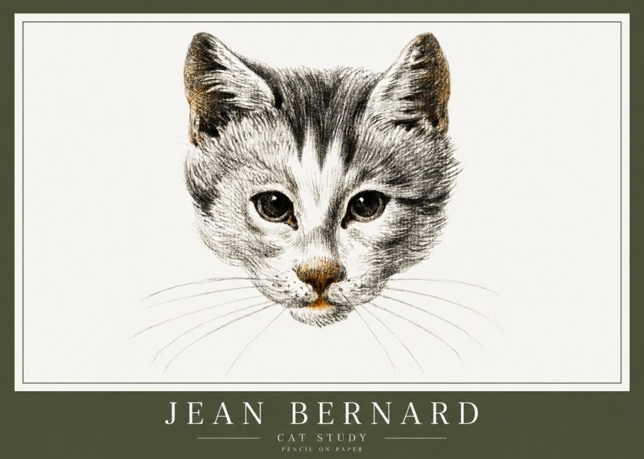 Jean Bernard Cat Study IX No1 - Plakat