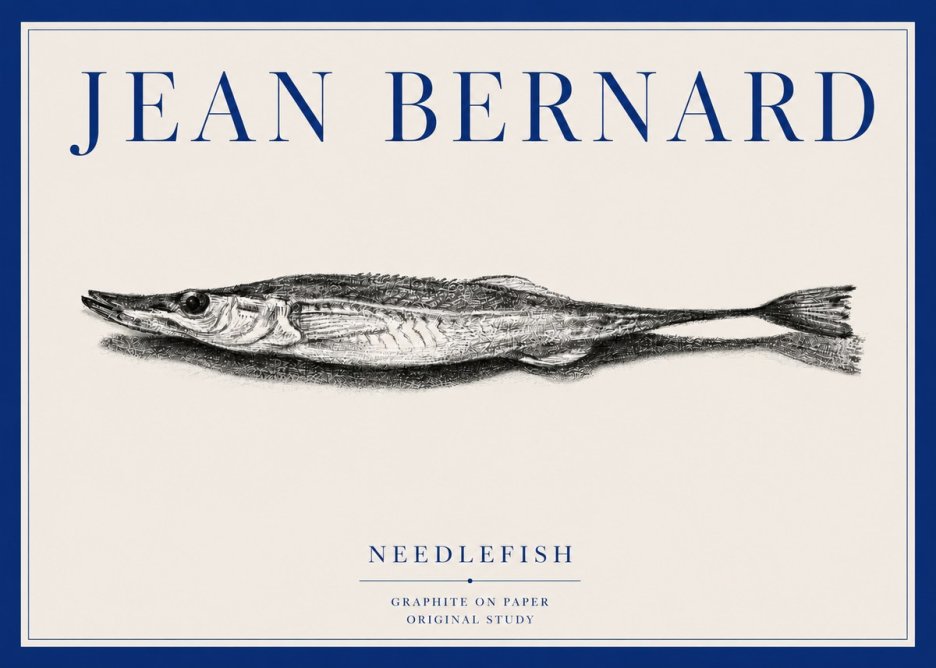 Jean Bernard Needlefish No3 - Plakat