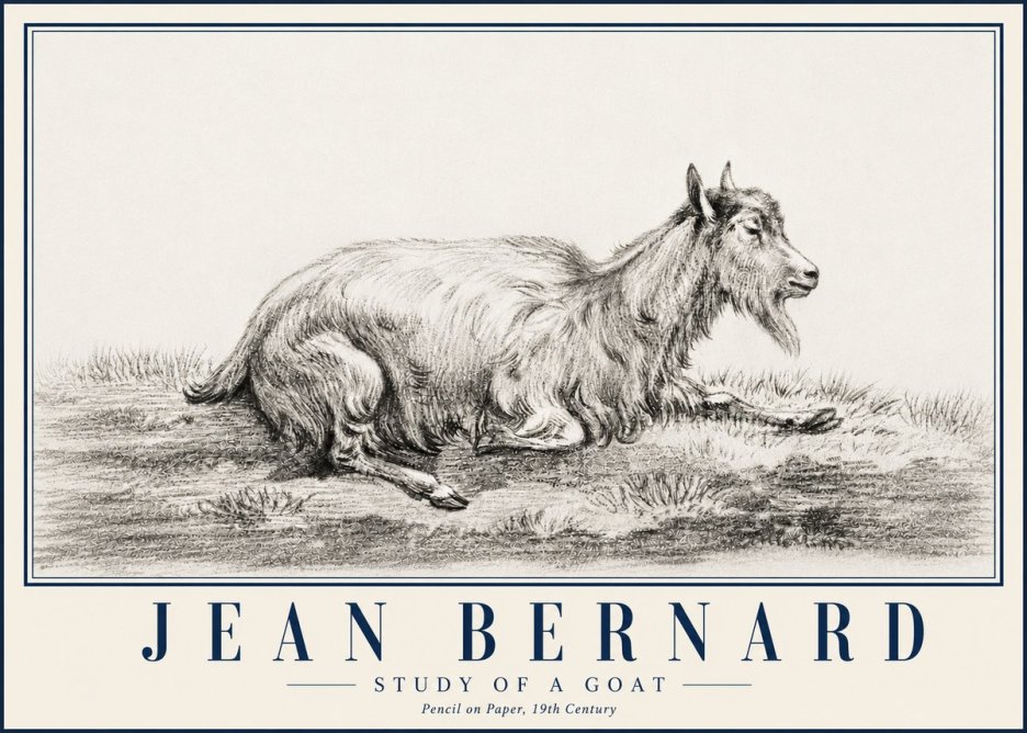 Jean Bernard Study of a Goat V No5 - Plakat