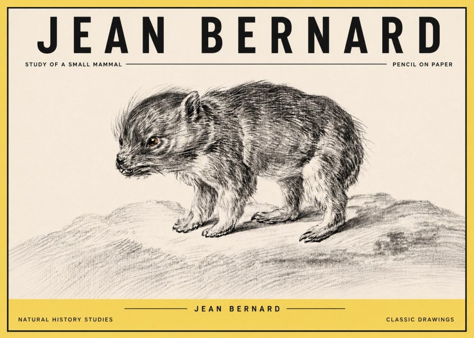 Jean Bernard Study of a Small Mammal No4 - Plakat