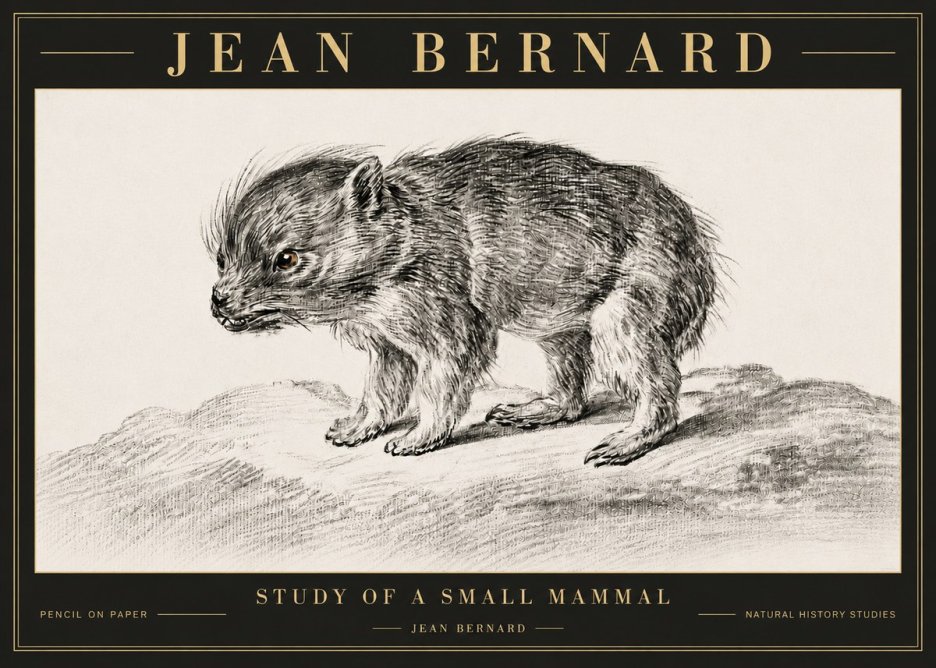 Jean Bernard Study of a Small Mammal No6 - Plakat