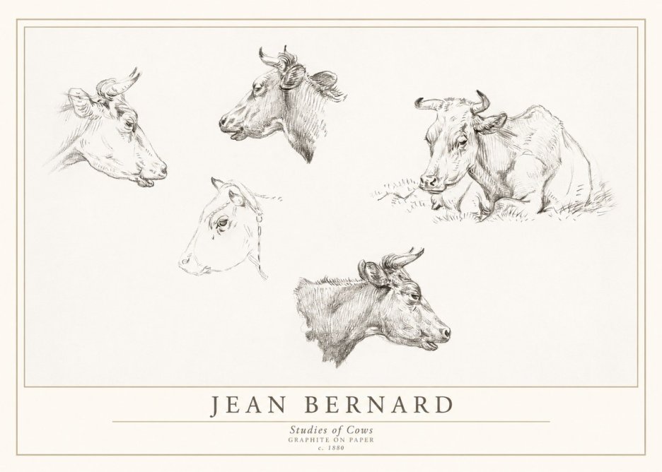 Jean Bernard Studies of Cows I No1 - Plakat
