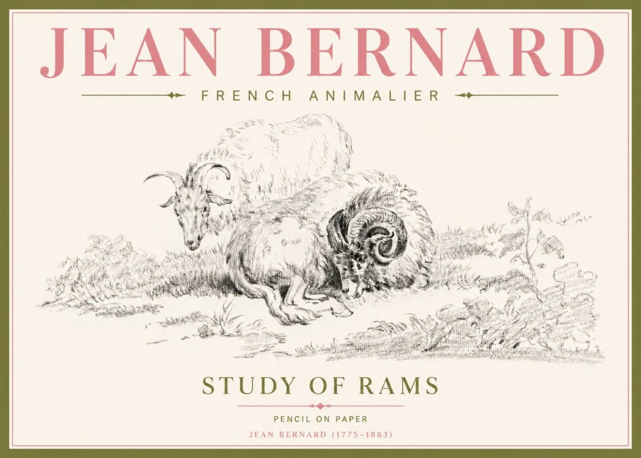 Jean Bernard Study of Sheep No5 - Plakat