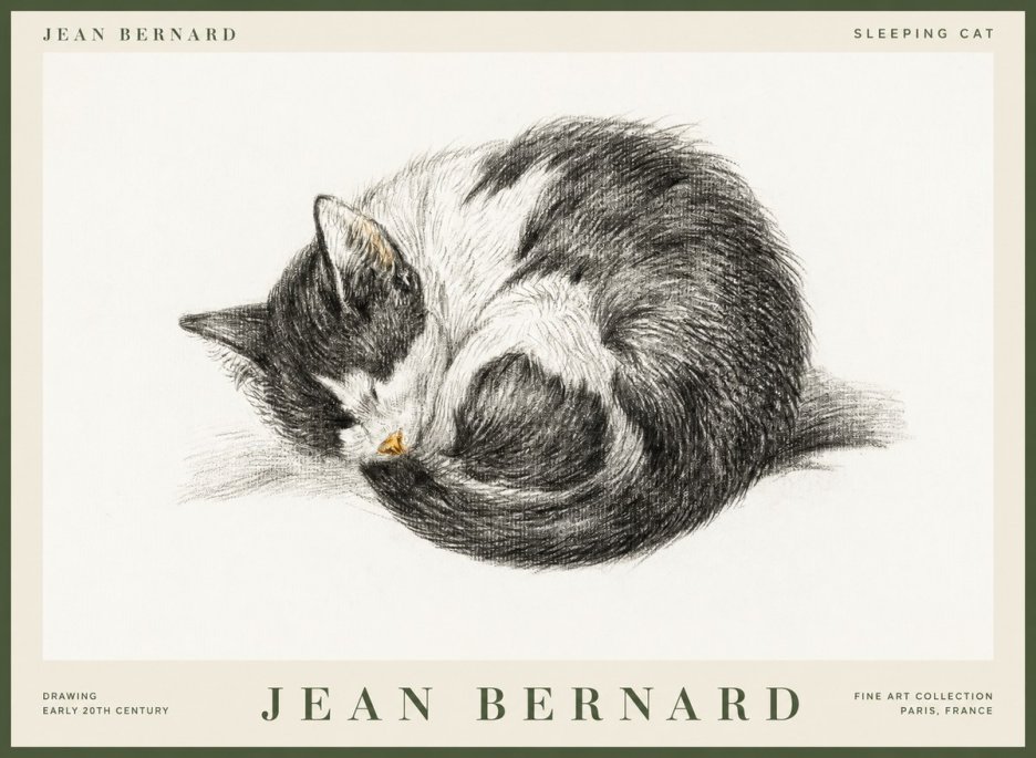 Jean Bernard Sleeping Cat VIII No1 - Plakat