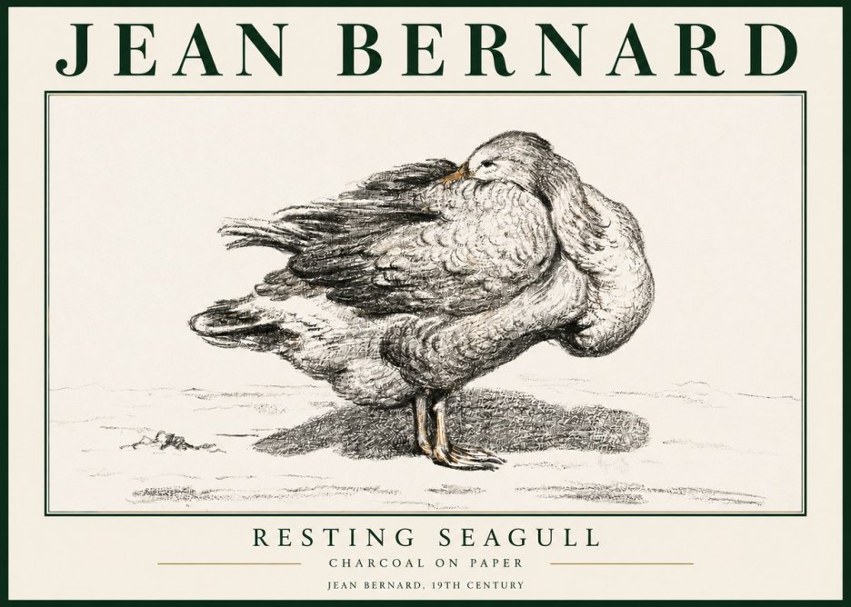 Jean Bernard Resting Seagull No3 - Plakat