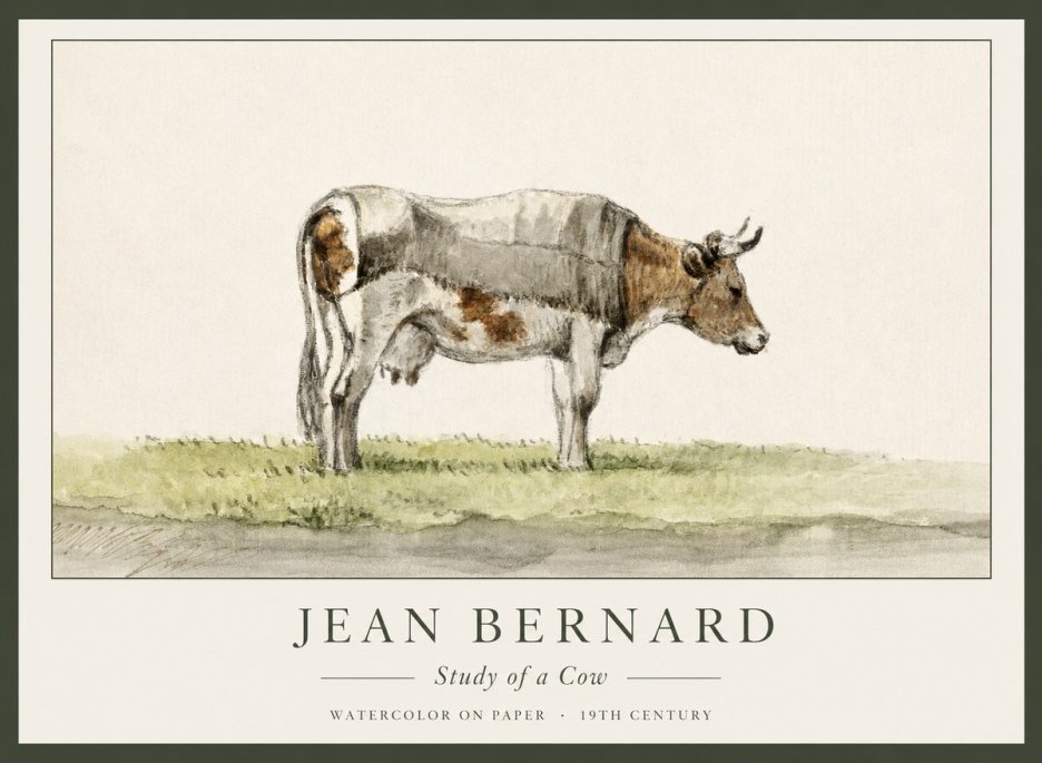 Jean Bernard Study of a Cow XIV No1 - Plakat
