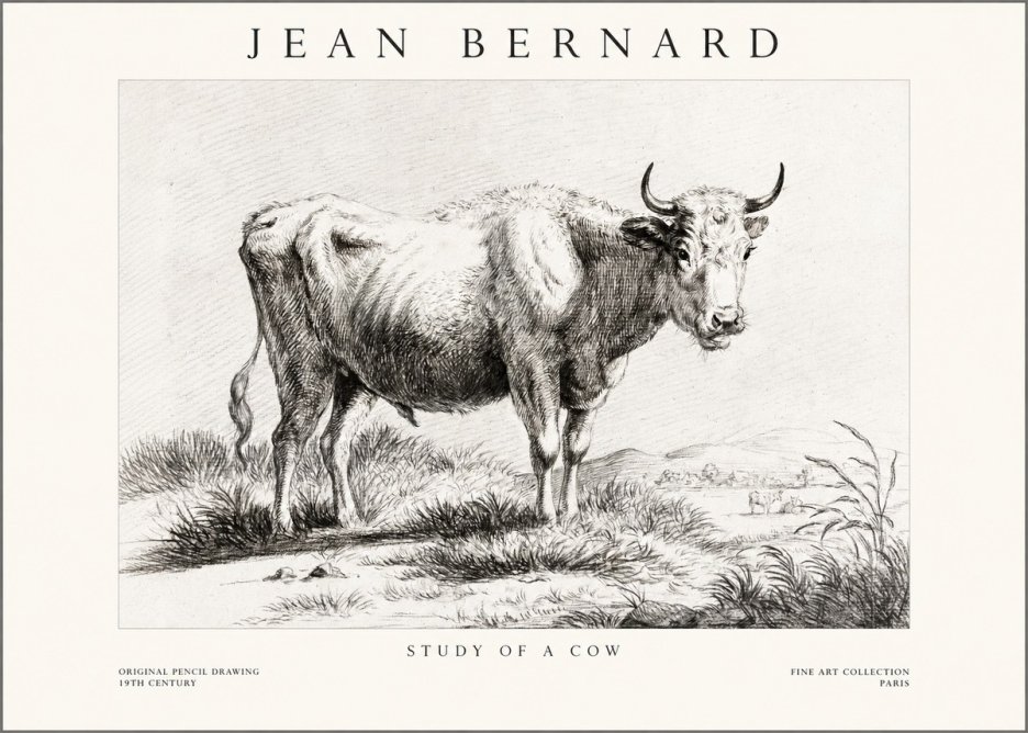 Jean Bernard Study of a Cow XVI No1 - Plakat