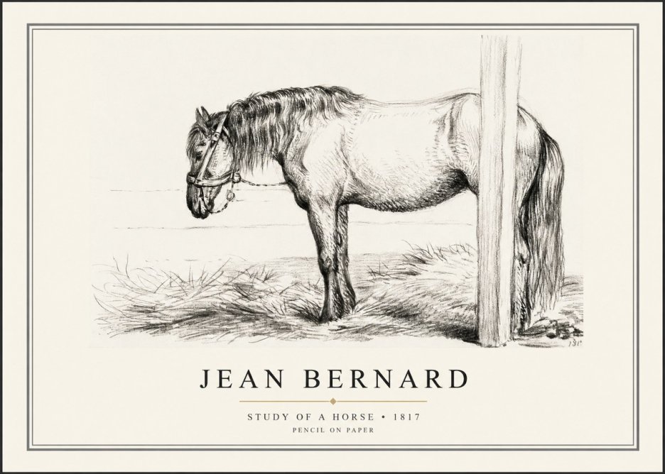 Jean Bernard Study of a Horse XII No1 - Plakat
