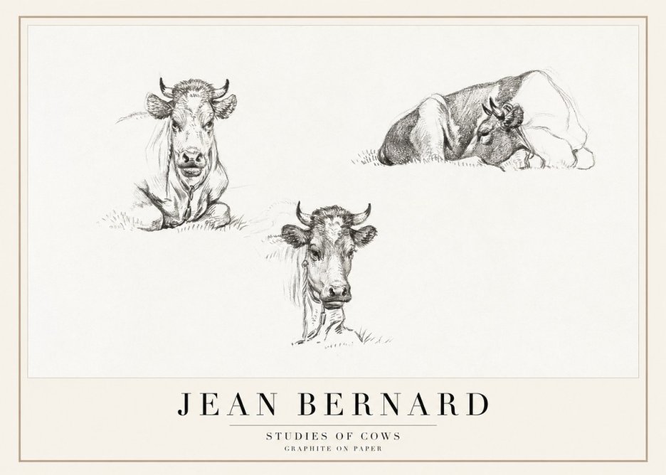 Jean Bernard Studies of Cows II No1 - Plakat