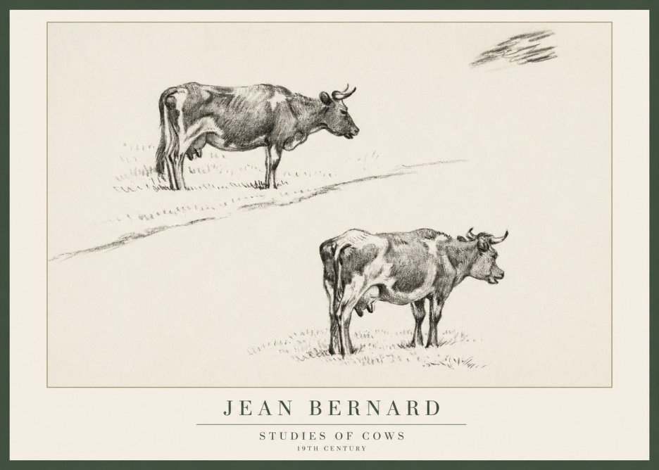 Jean Bernard Studies of Cows III No1 - Plakat