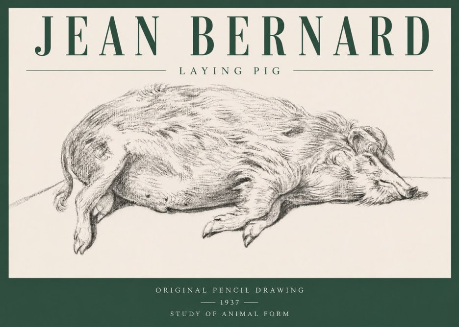 Jean Bernard Laying Pig No3 - Plakat