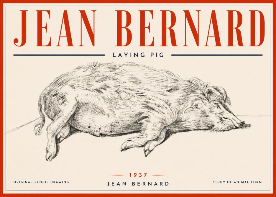 Jean Bernard Laying Pig No6 - Plakat