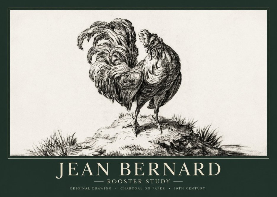 Jean Bernard Study of a Rooster No2 - Plakat