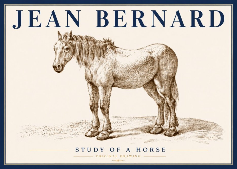 Jean Bernard Study of a Horse XIV No6 - Plakat