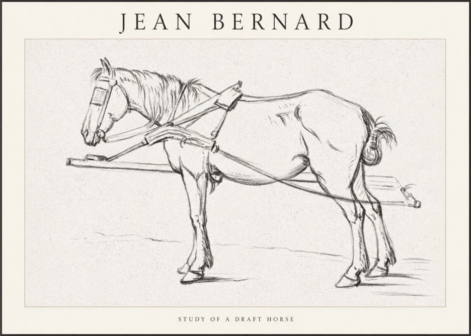 Jean Bernard Study of a Draft Horse II No1 - Plakat