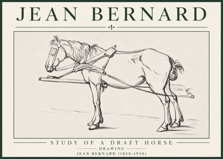Jean Bernard Study of a Draft Horse II No4 - Plakat