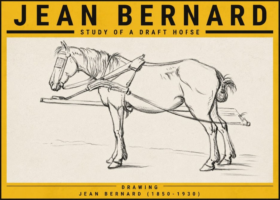 Jean Bernard Study of a Draft Horse II No5 - Plakat