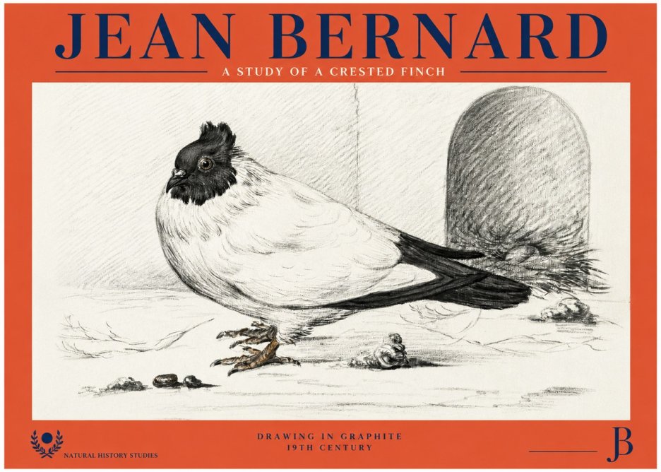 Jean Bernard A Study of a Crested Finch No2 - Plakat