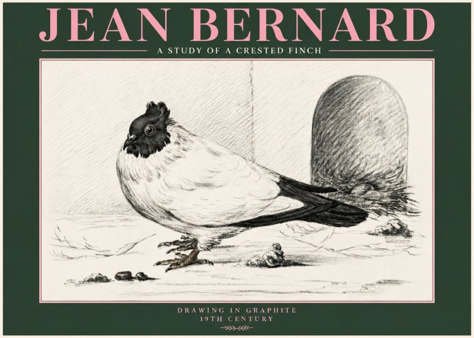 Jean Bernard A Study of a Crested Finch No3 - Plakat