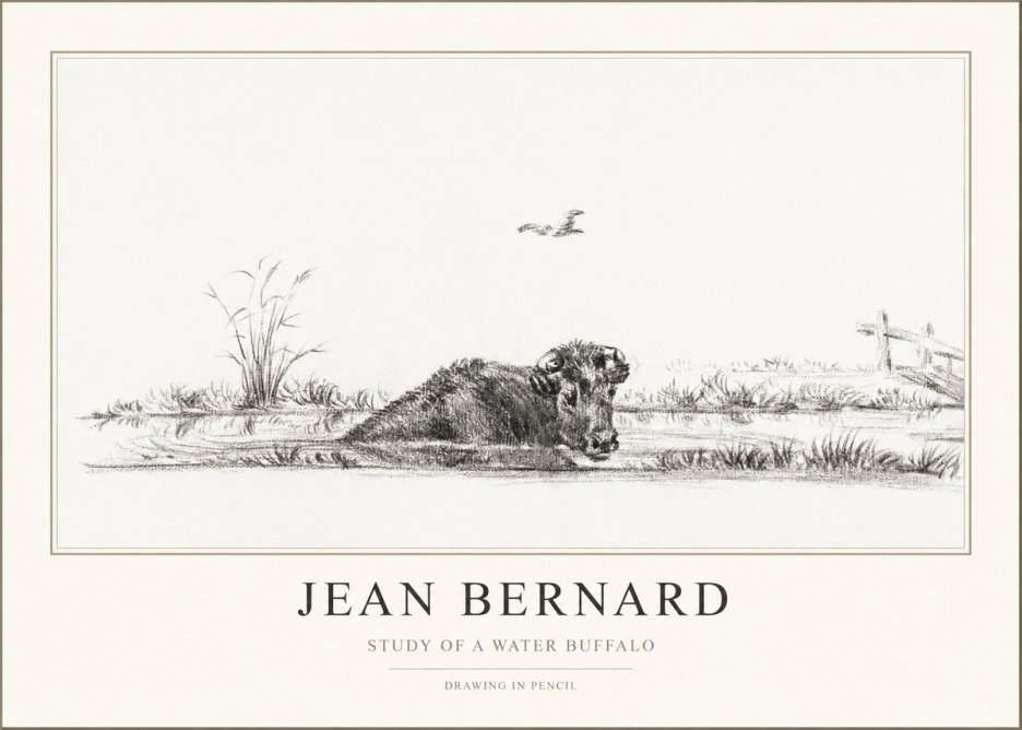 Jean Bernard Study of a Water Buffalo No1 - Plakat