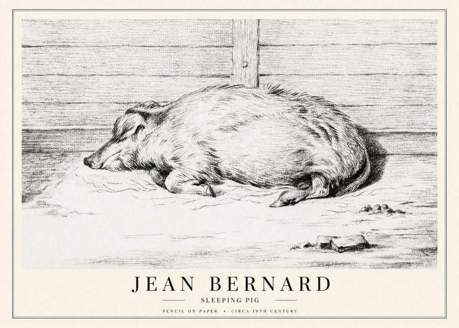 Jean Bernard Sleeping Pig I No1 - Plakat