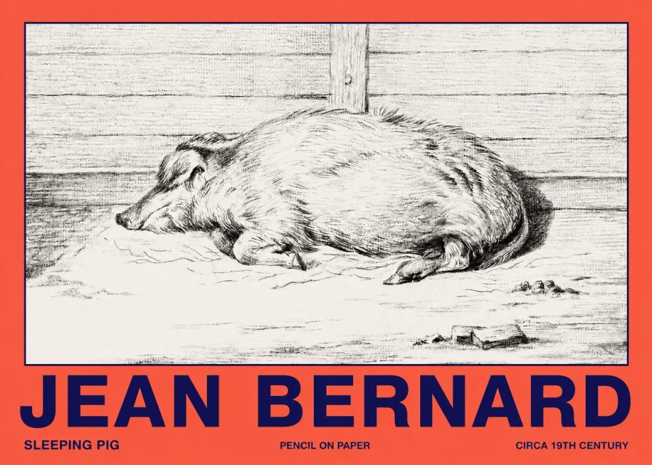 Jean Bernard Sleeping Pig I No2 - Plakat