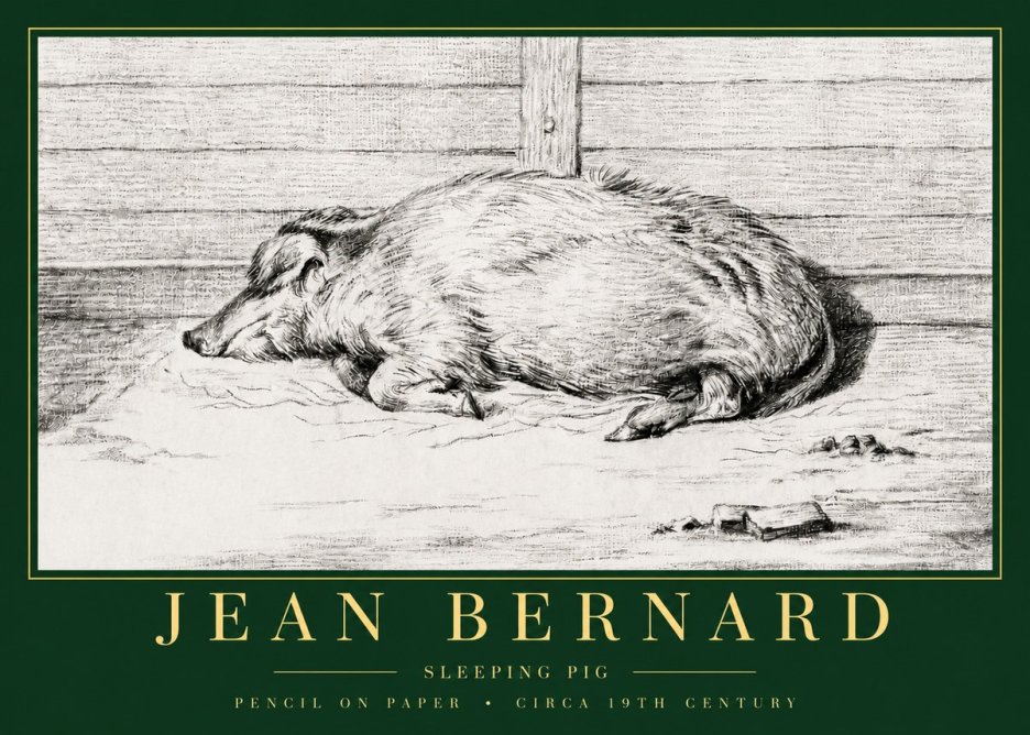 Jean Bernard Sleeping Pig I No3 - Plakat