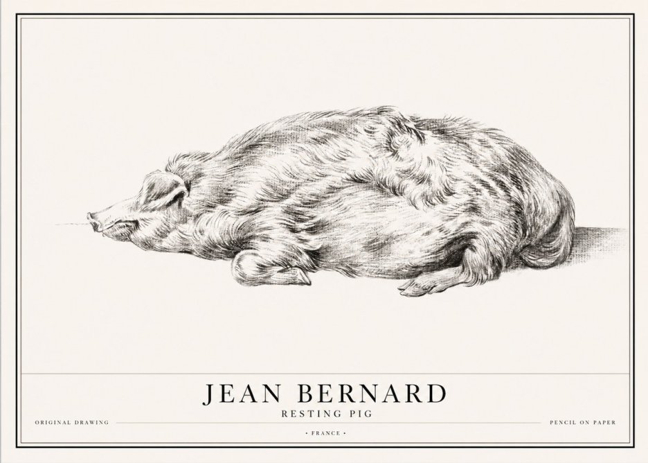 Jean Bernard Resting Pig II No1 - Plakat