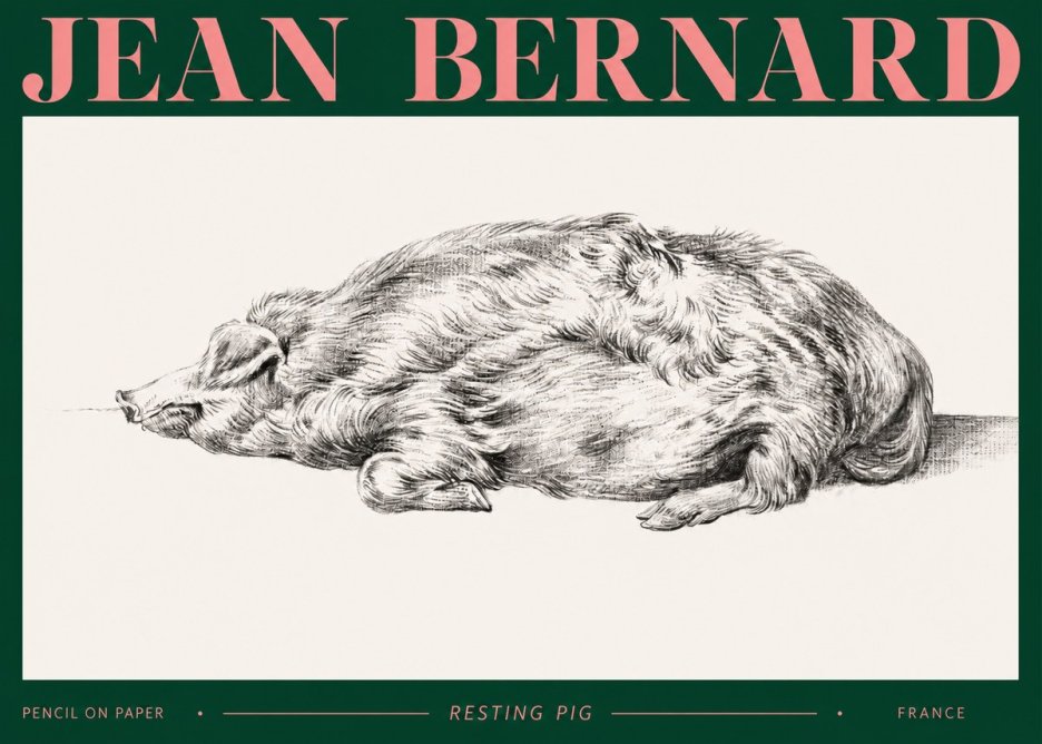 Jean Bernard Resting Pig II No2 - Plakat