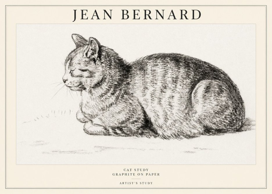 Jean Bernard Cat Study XII No1 - Plakat