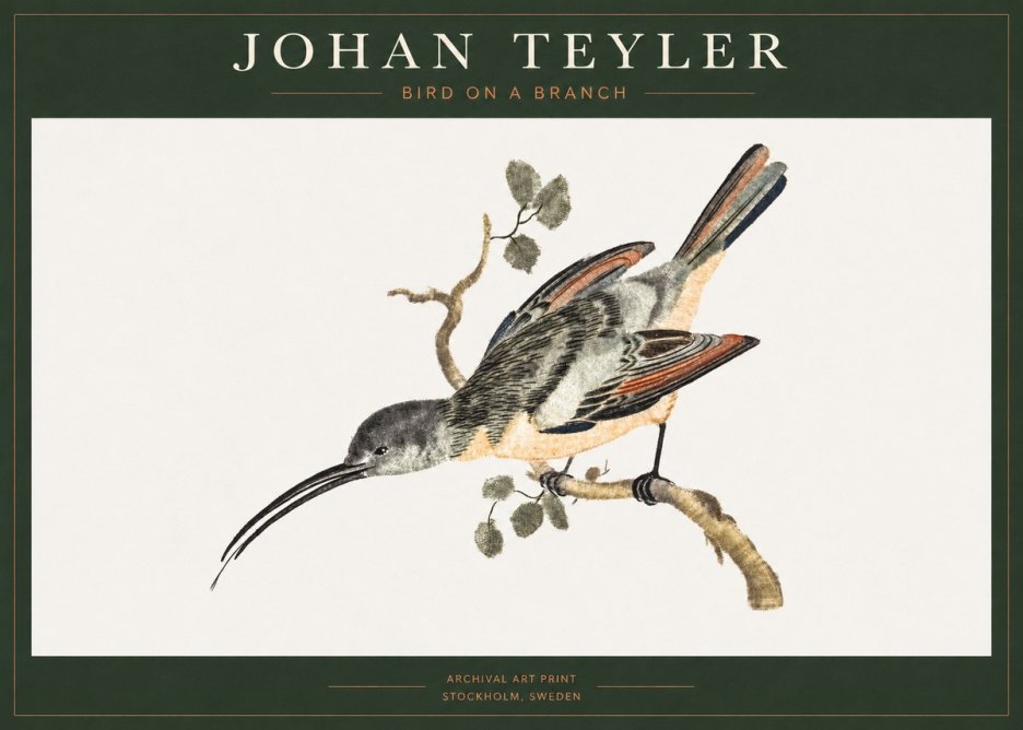 Johan Teyler Bird on a Branch No1 - Plakat
