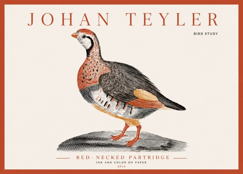 Johan Teyler Red-necked Partridge No3 - Plakat
