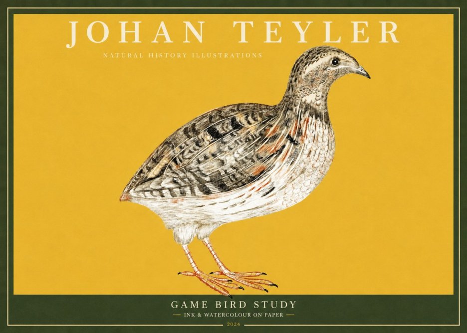 Johan Teyler Game Bird Study No2 - Plakat