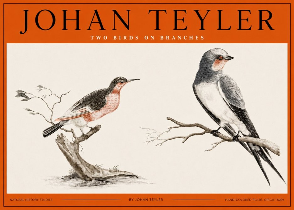 Johan Teyler Two Birds on Branches No2 - Plakat