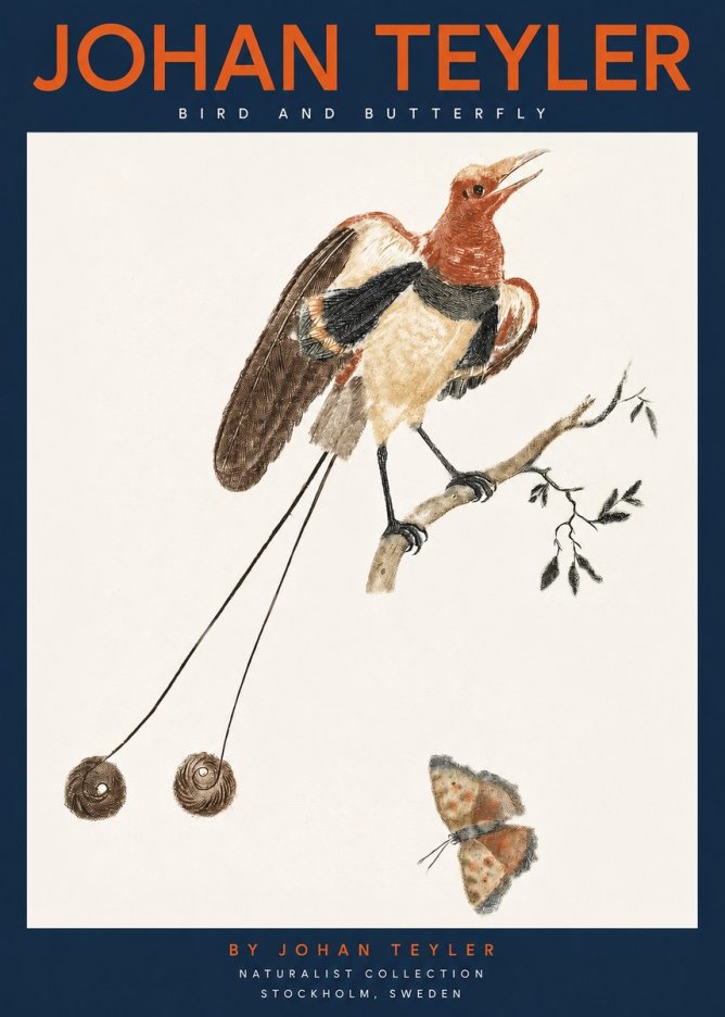 Johan Teyler Bird and Butterfly No2 - Plakat