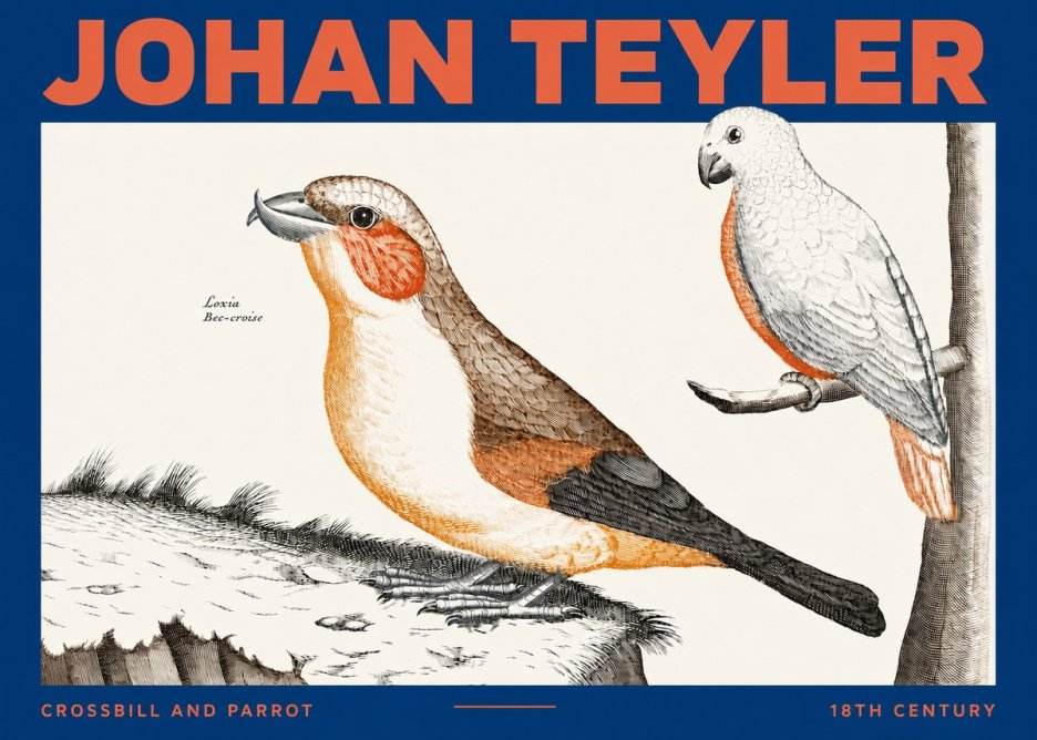 Johan Teyler Crossbill and Parrot No2 - Plakat
