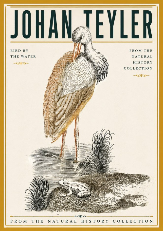 Johan Teyler Bird by the Water No6 - Plakat