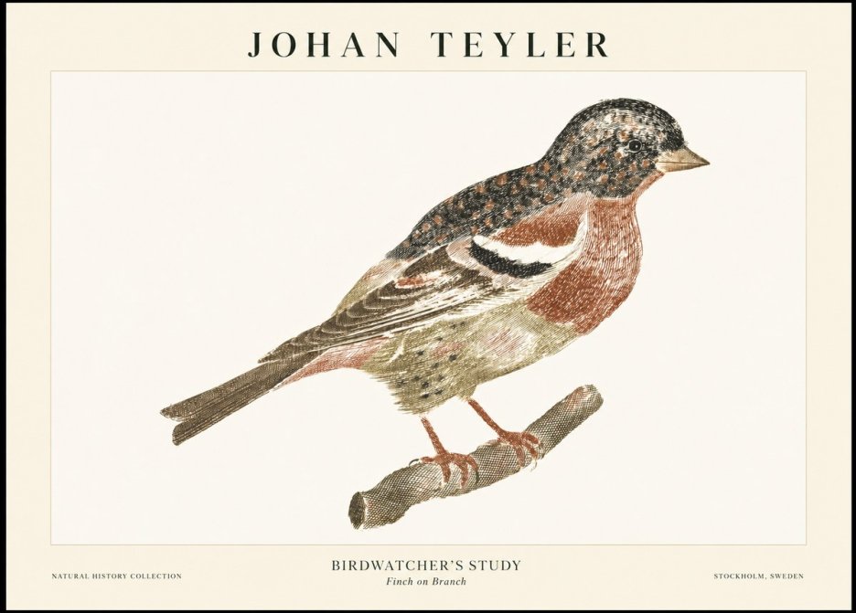 Johan Teyler Finch on Branch No1 - Plakat