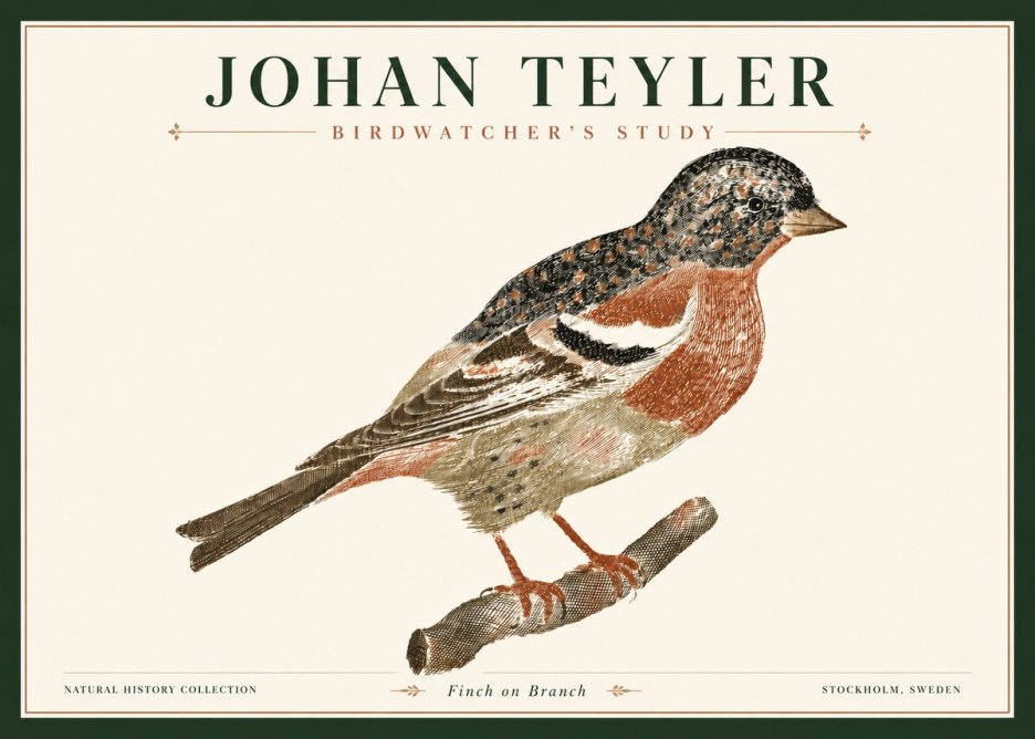 Johan Teyler Finch on Branch No4 - Plakat