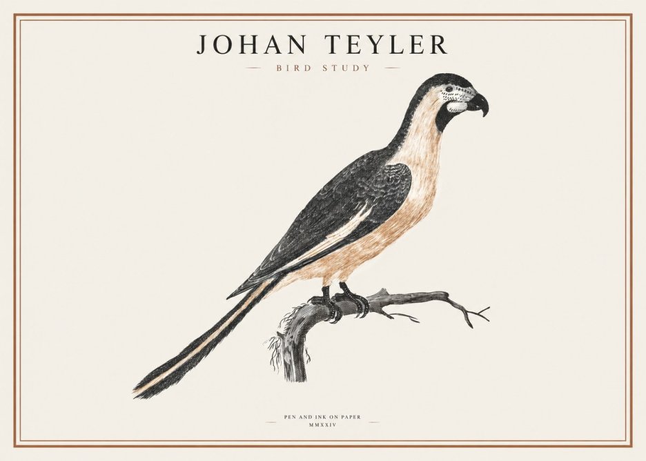Johan Teyler Bird Study I No1 - Plakat