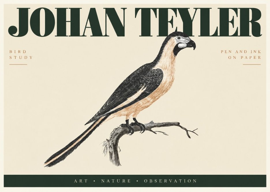 Johan Teyler Bird Study I No2 - Plakat