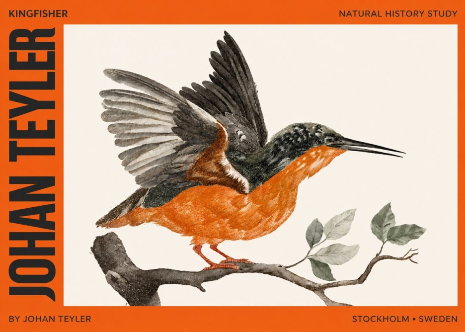 Johan Teyler Kingfisher No2 - Plakat