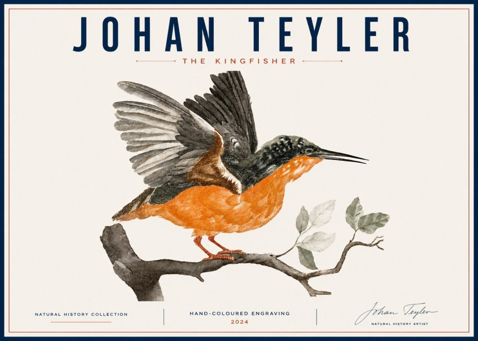Johan Teyler Kingfisher No6 - Plakat