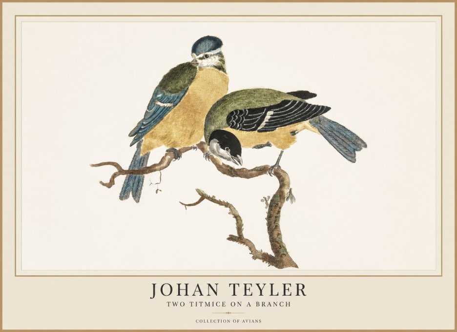 Johan Teyler Two Titmice on a Branch No1 - Plakat